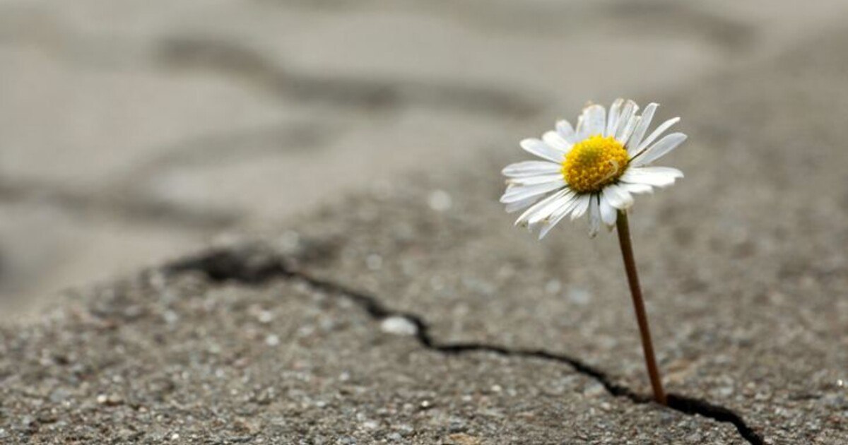 Hotellerie: EU-Programm soll Krisenfestigkeit stärken