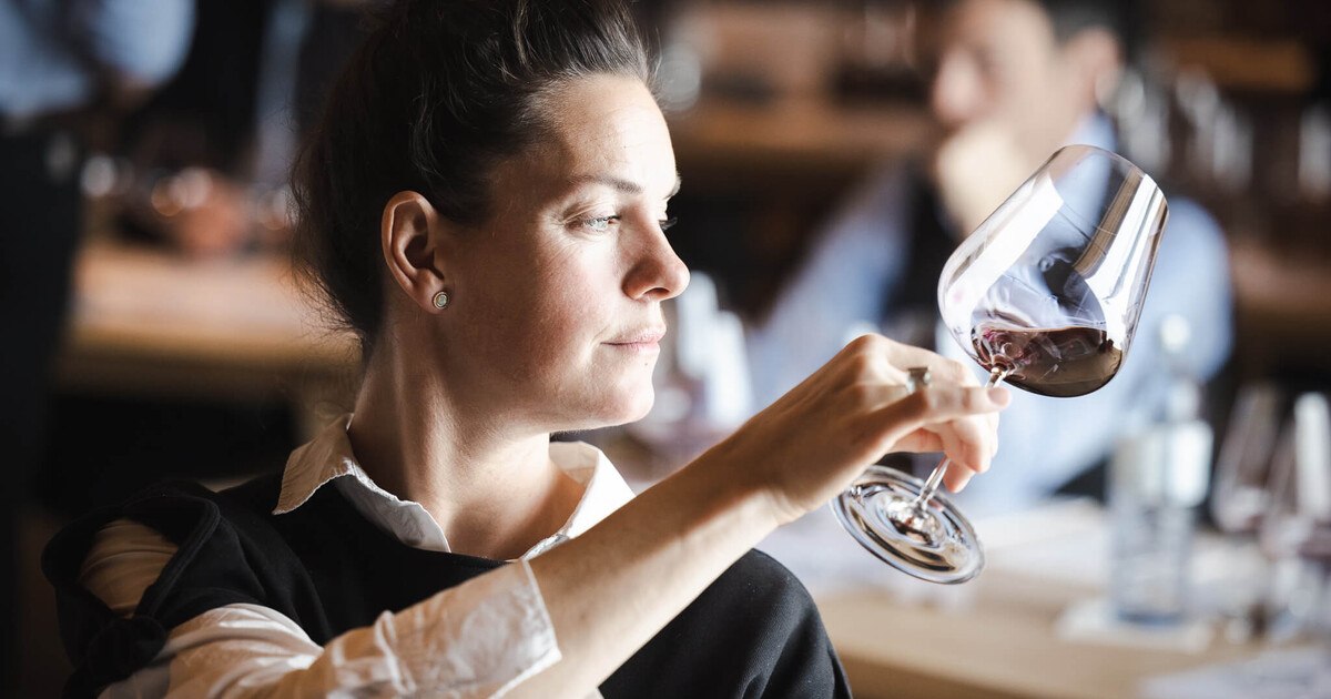 Ist Blaufränkisch eine große Rebsorte?