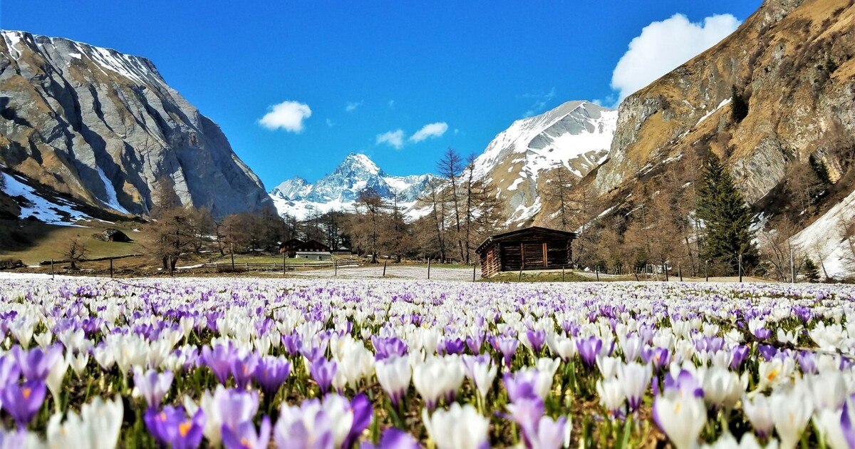 Jetzt für den Tirol Touristica 2024 einreichen