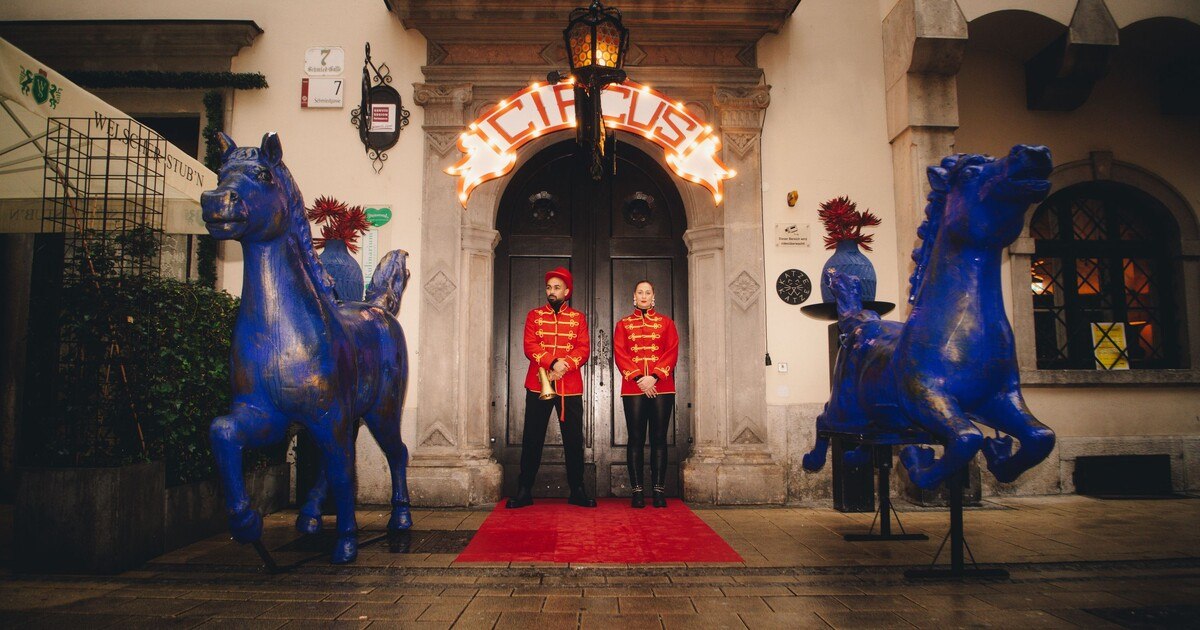 Katze aus dem Sack: Affenzirkus in Graz