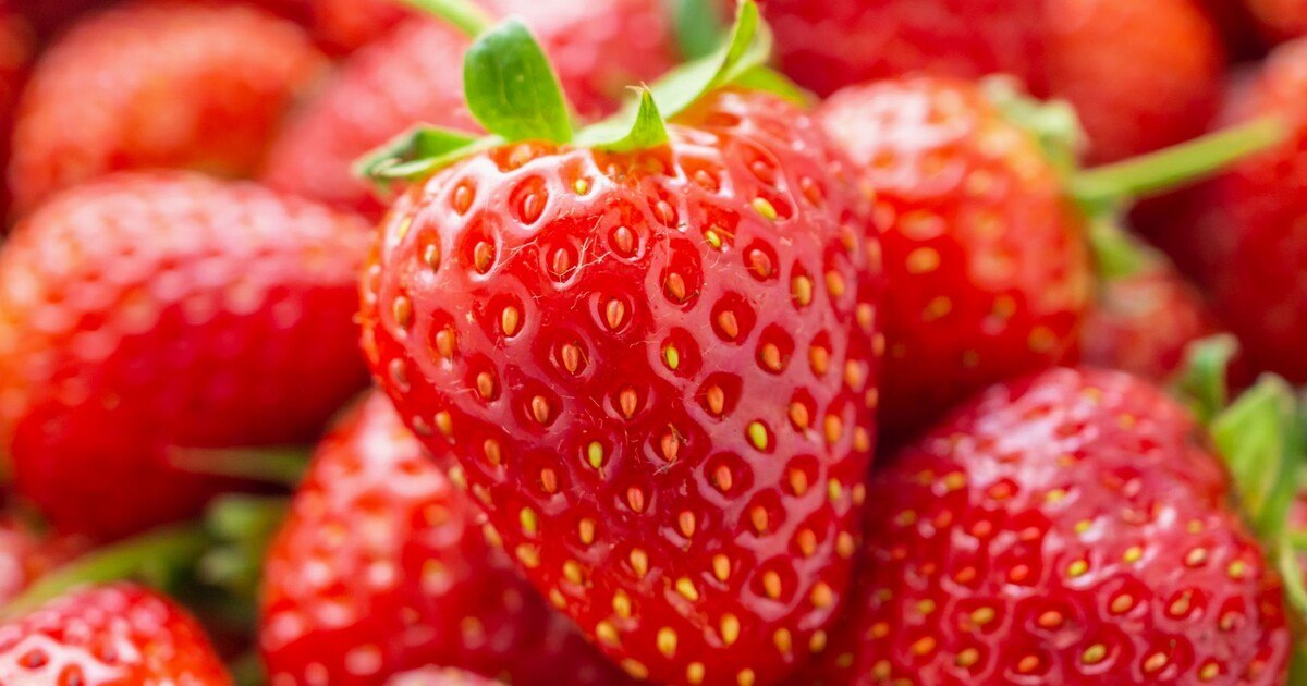 Österreich: Erdbeer-Ernte startet