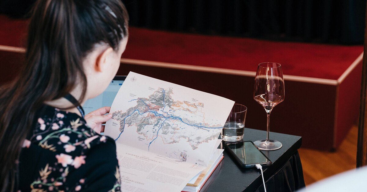 Österreichische Traditionsweingüter in Aufbruchsstimmung