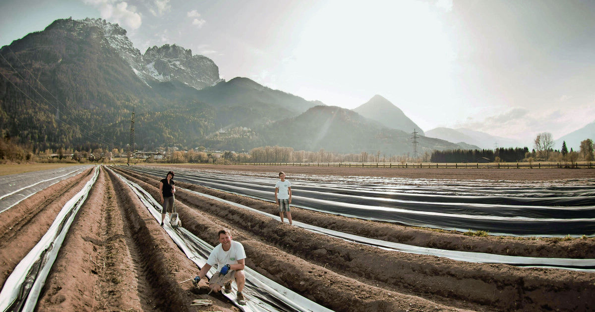 Osttirol rüstet ­kulinarisch auf