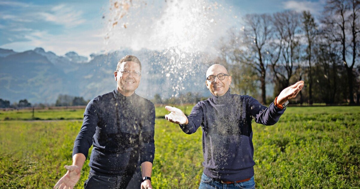 Plant-based mit regionalen Gelberbsen