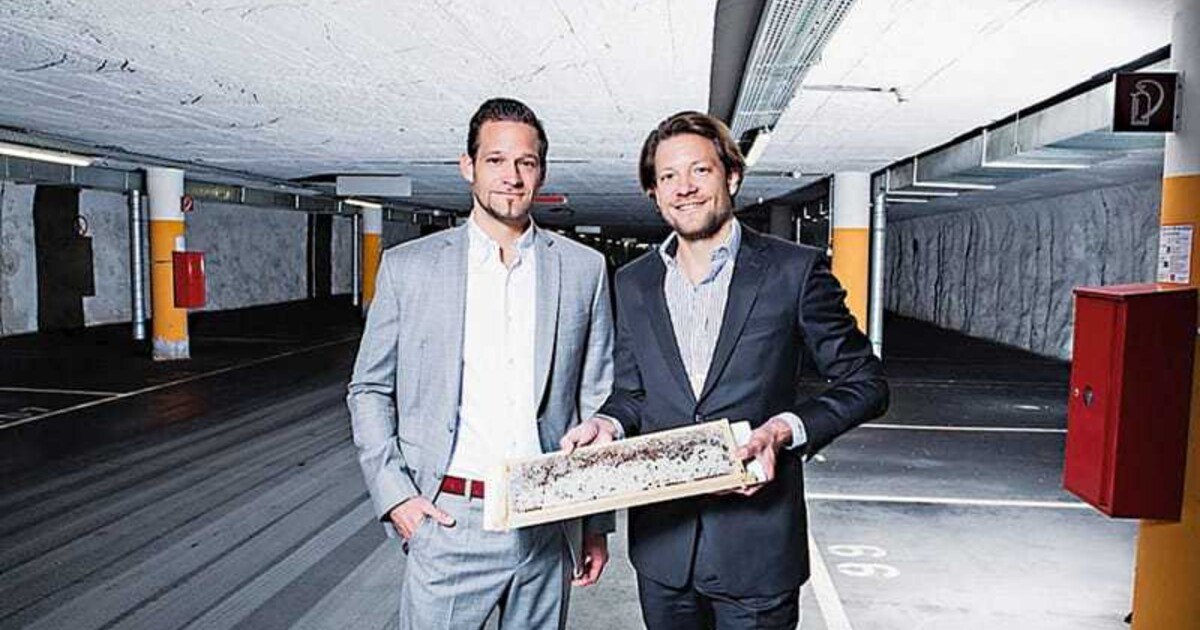 Ploberger Wels: Zwei Brüder, zwei Bauphasen