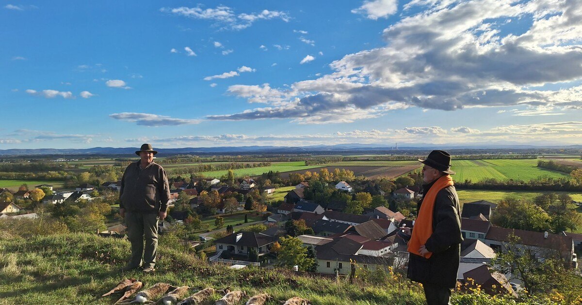 Sein Name ist Hase und er weiß von …vielen Rezepten