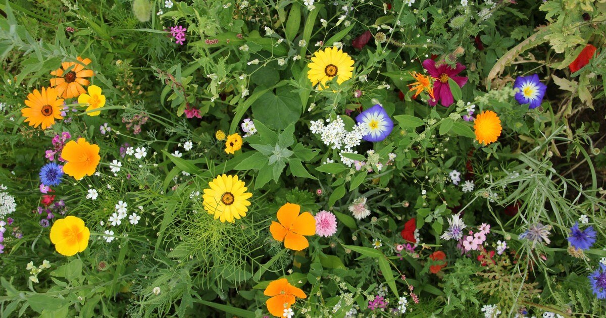So geht Nachhaltigkeit im Gastgarten