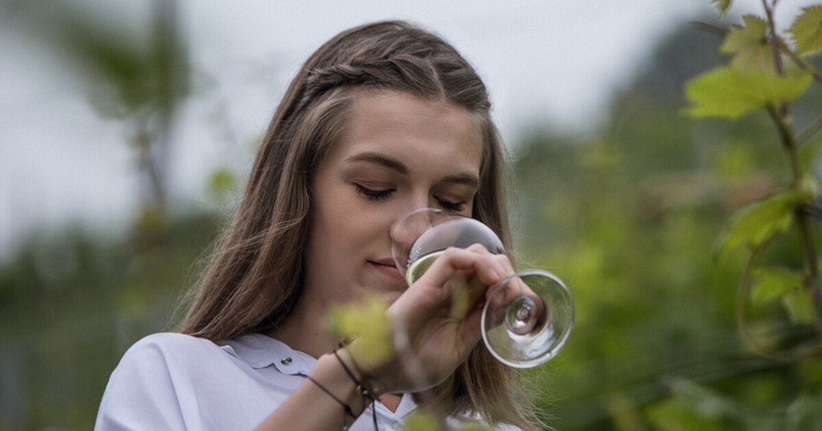 Tipp: Präsentation des Steirischen Weines