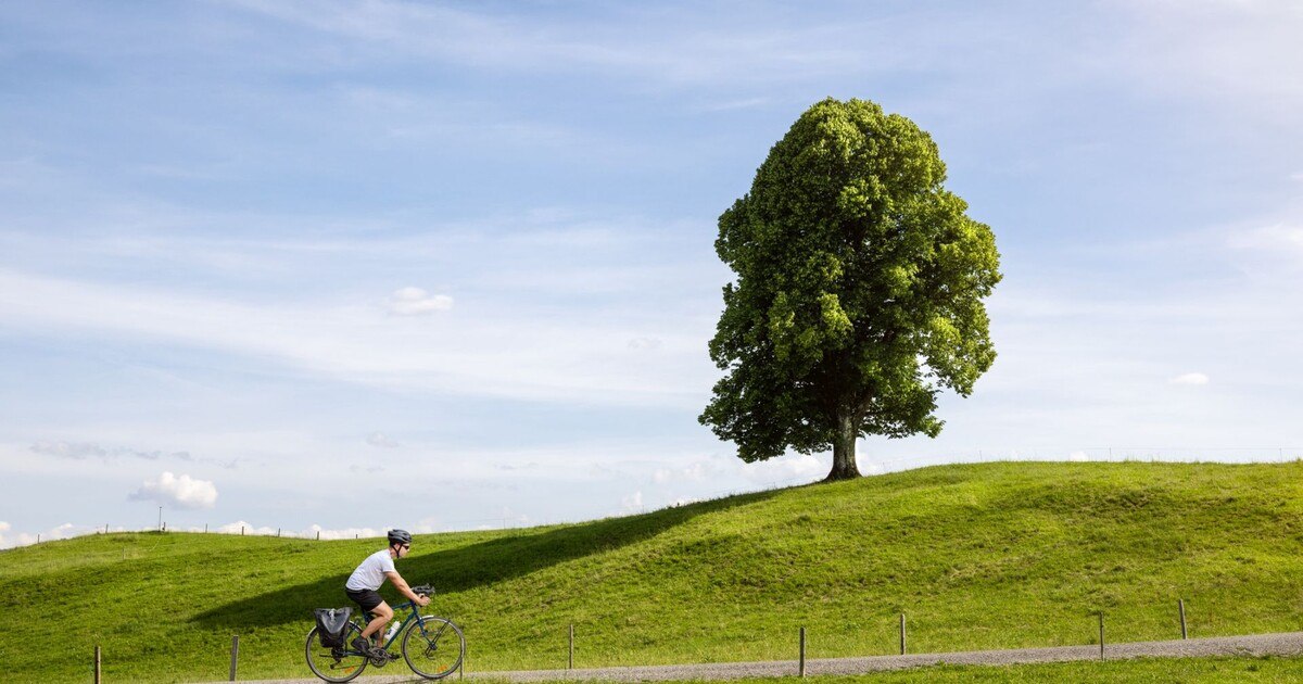Tipp: Zielgruppen für Nachhaltigkeit begeistern