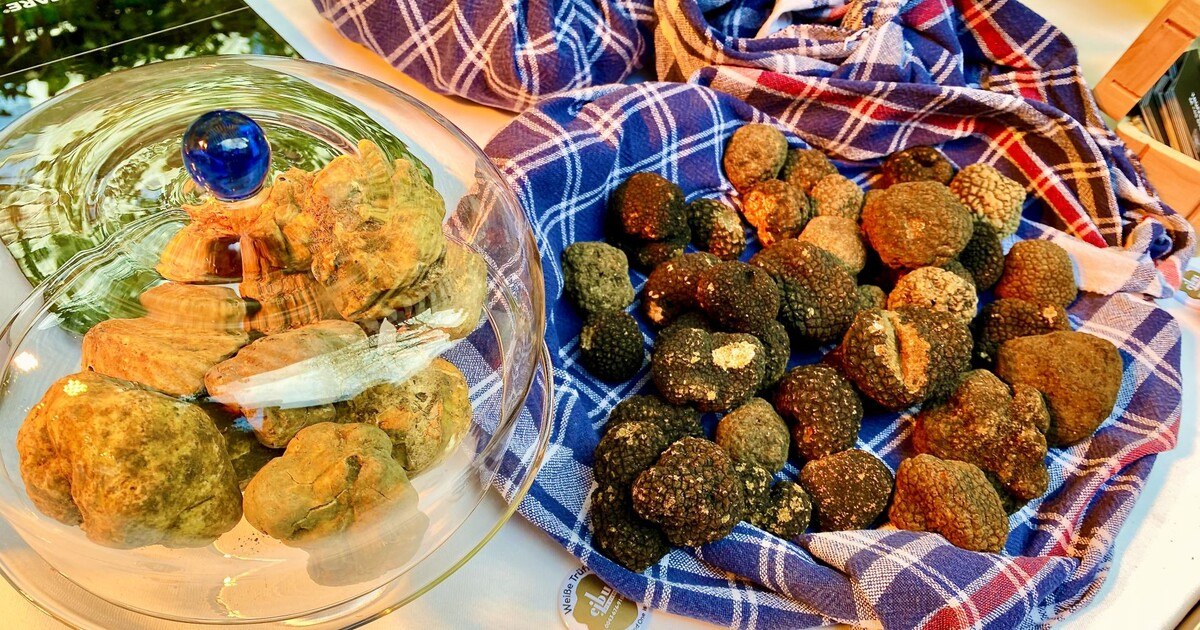 Trüffel total in Wien