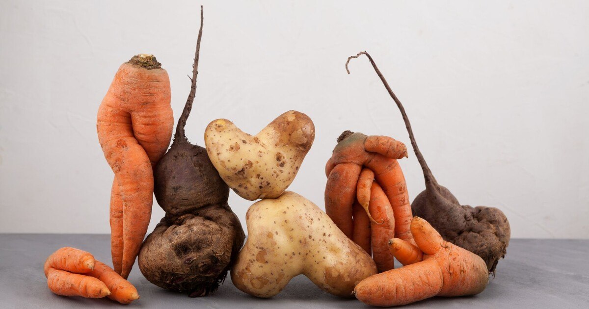 Was sagt der Food Report 2022?