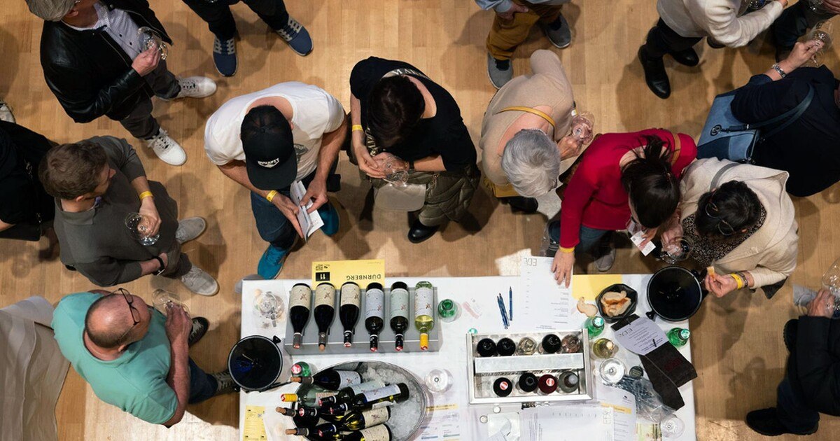 Weinviertel DAC 2023: Ein Jahrgang setzt neue Maßstäbe