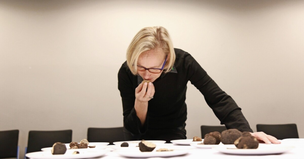 Welche Trüffel sind interessant für die Gastronomie?
