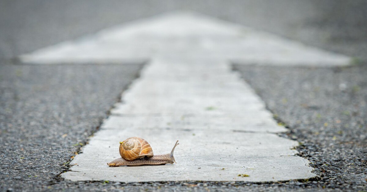 Westbalkanregelung: Deutschland überholt Österreich
