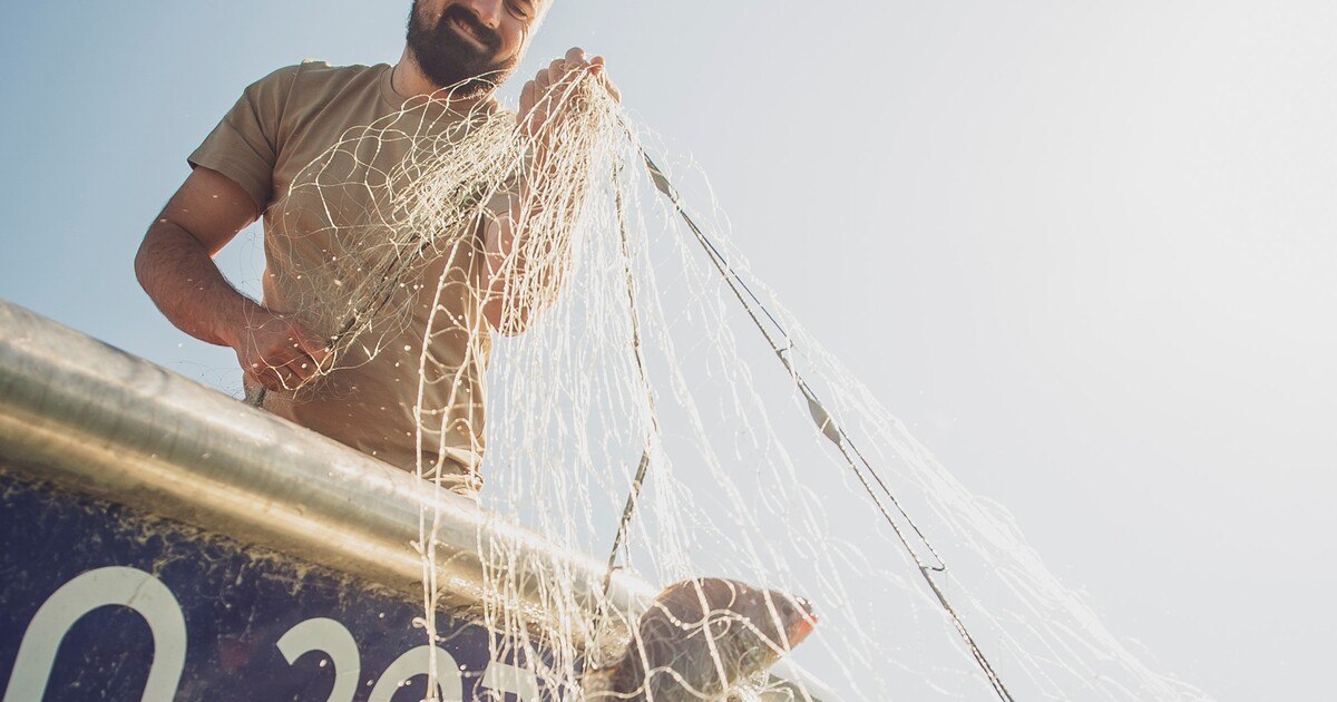Wirtshausfestivalzeit am Traunsee