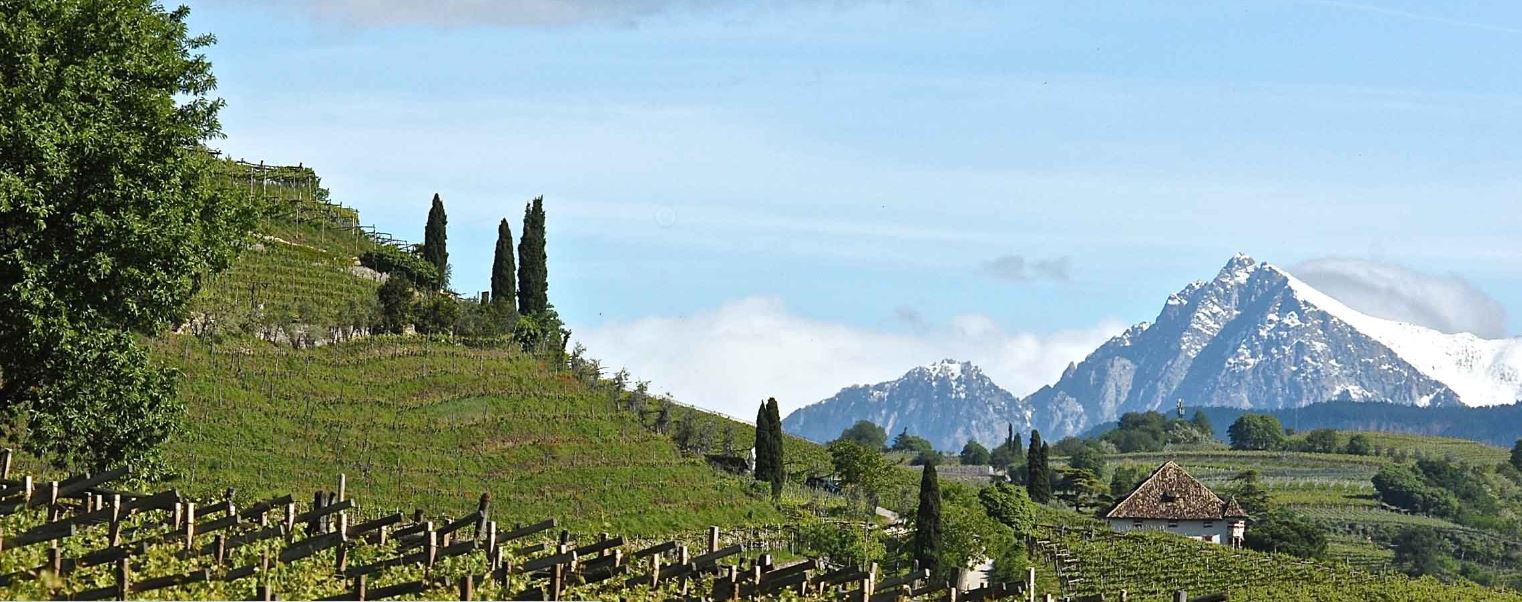 Selezione Italia in Wien
