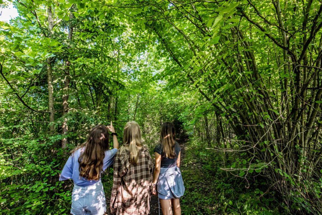 Drei Mädchen gehen im Wald spazieren.