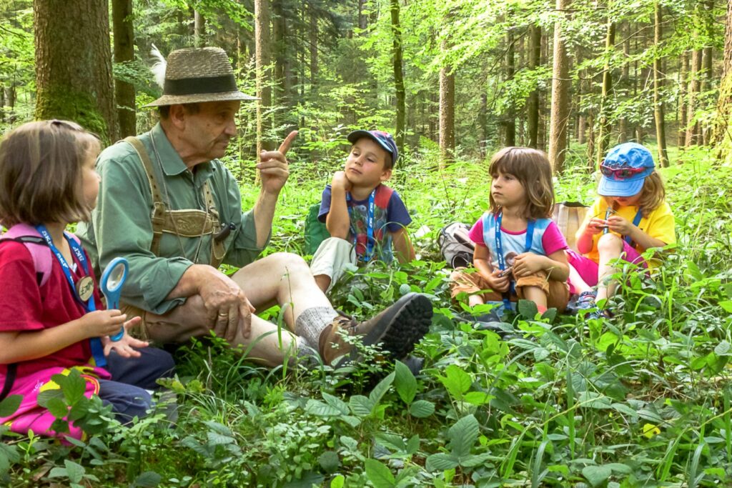 Kinder sitzen mit einem Pädagogen im Wald und lernen über die Natur.