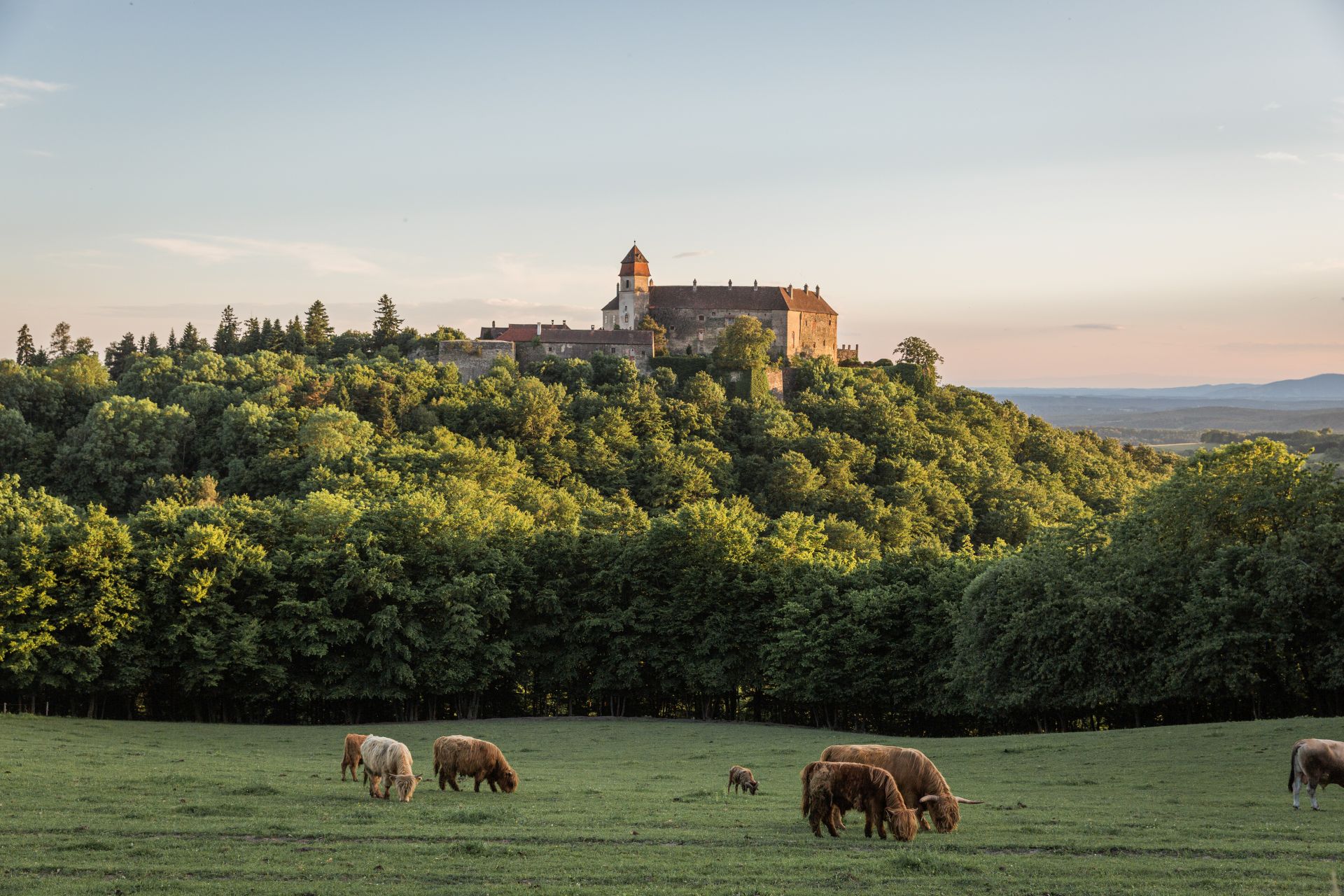Burg Bernstein auf dem Weg in die Zukunft