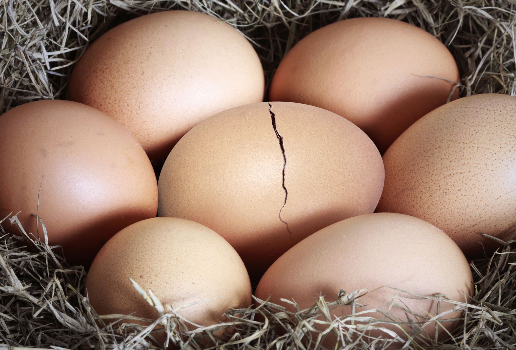 Österreich bricht Eier-Rekord