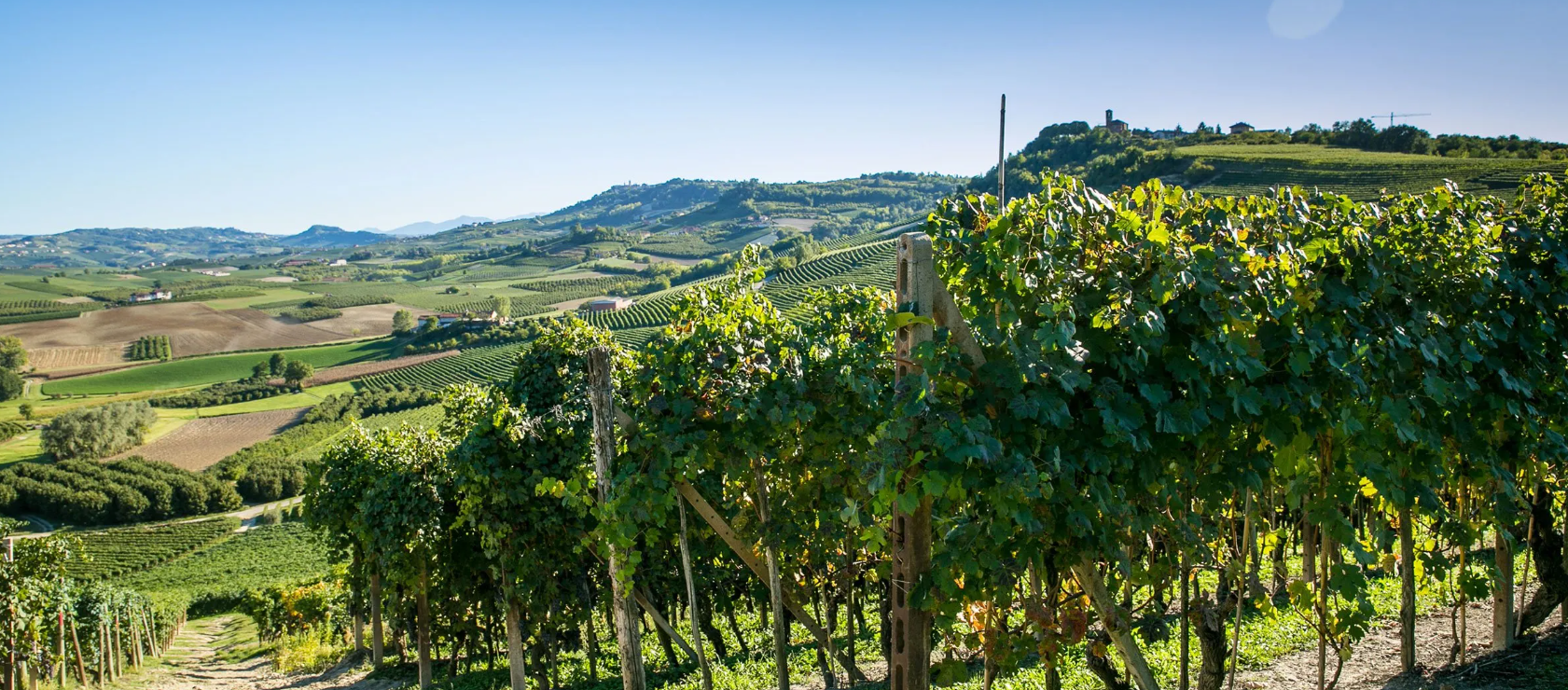 Tipp: Wein- und Spirituosenverkostung im Hilton Plaza Wien