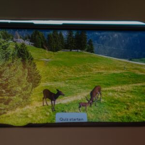 Digitale Rehe stehen in einer Virtuellen Welt.