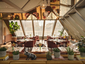 Eine Rooftopbar auf den Dächern Wiens.