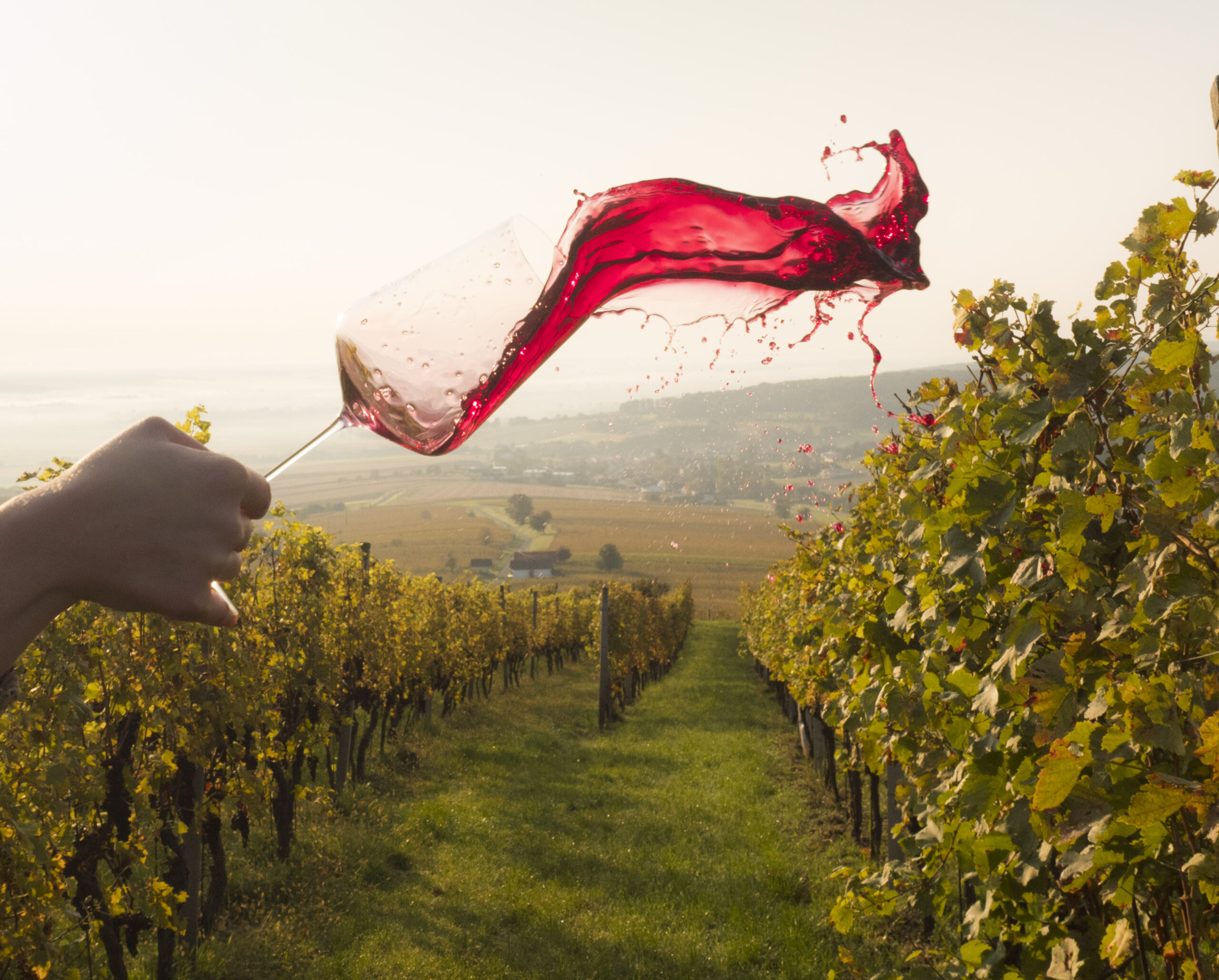 Rotwein: Immer schön cool bleiben