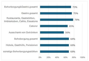 Grafik 2: Drei Viertel (73 Prozent) der Arbeitskräfte in Gastronomie und Beherbergung haben Einwanderungshintergrund © Mikrozensus 2023/2024
