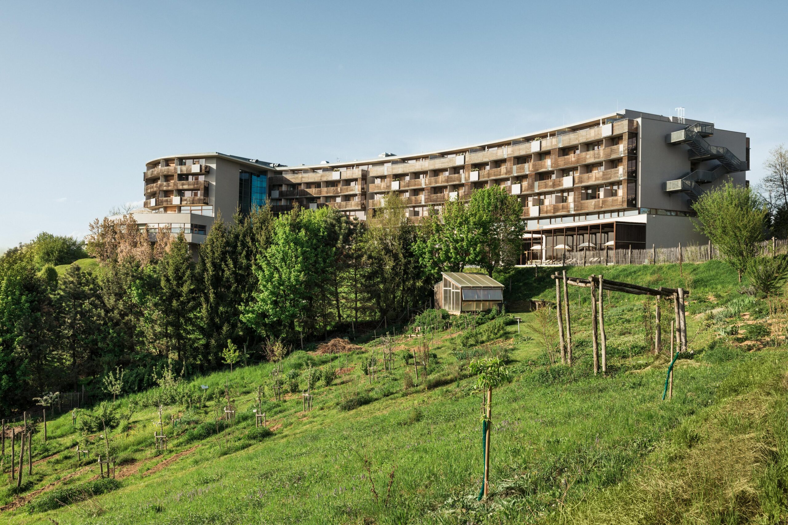 Veganer Hotspot im Falkensteiner Balance Resort Stegersbach