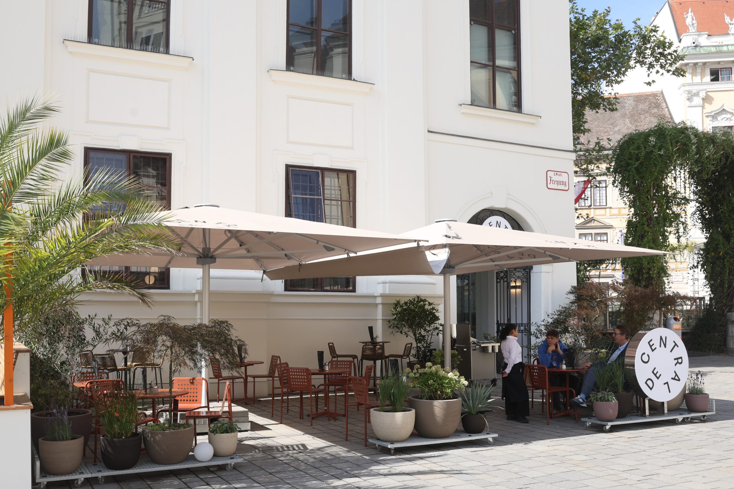 Café Central: Pop-up Decentral überbrückt Renovierungspause