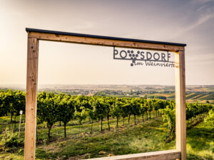 Holzrahmen mit Poysdorf und Weinreben © Weingut Neustifter/ Herbst