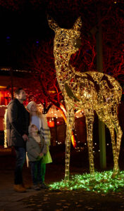 Winterwunder Mörbisch © Burgenland Tourismus_Stefan Csáky