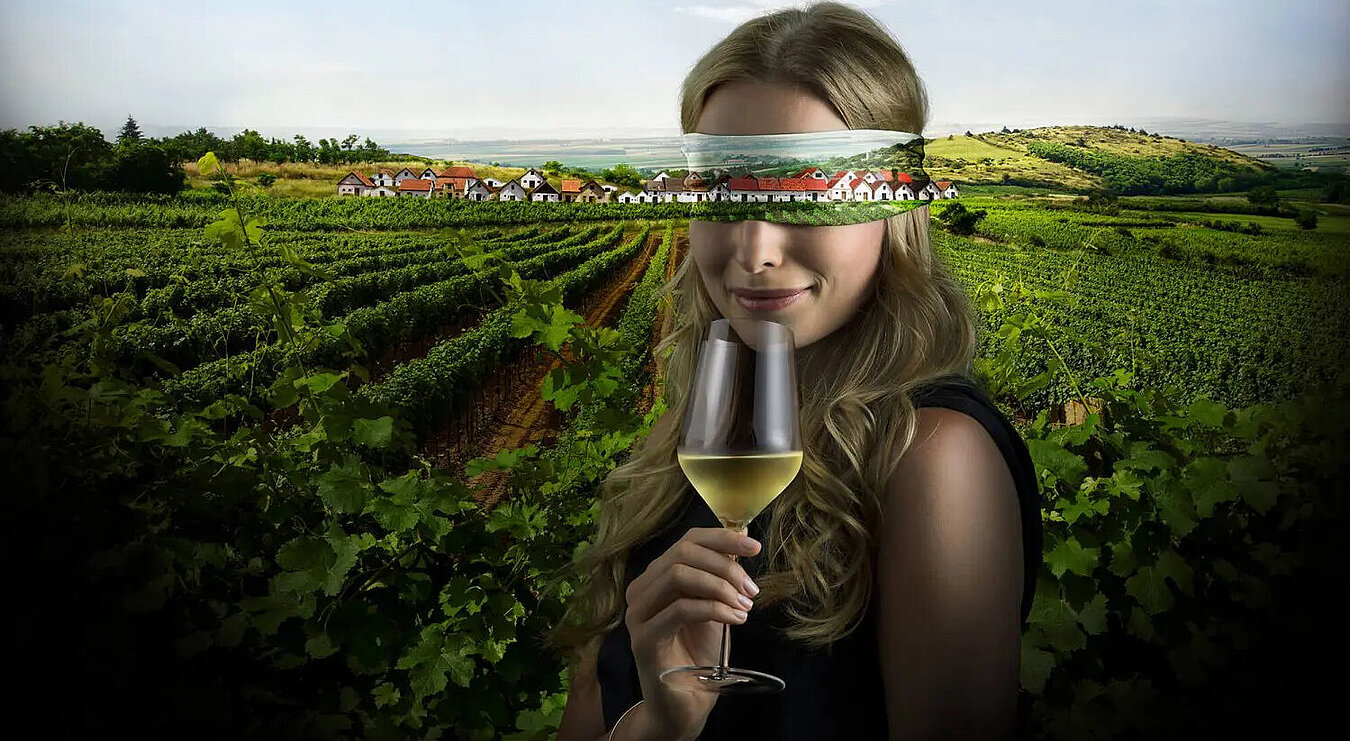 Der neue Weinviertel DAC geht 2026 wieder auf Tour